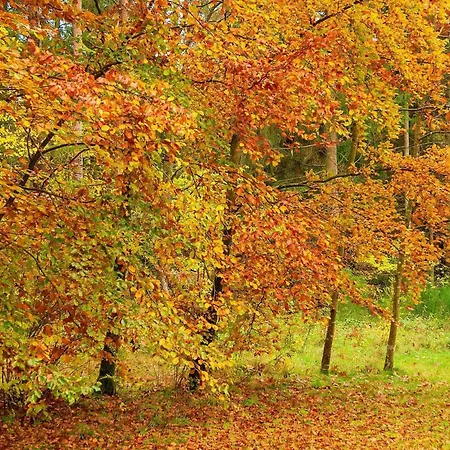 Two-bedroom In By 2 Dom wakacyjny